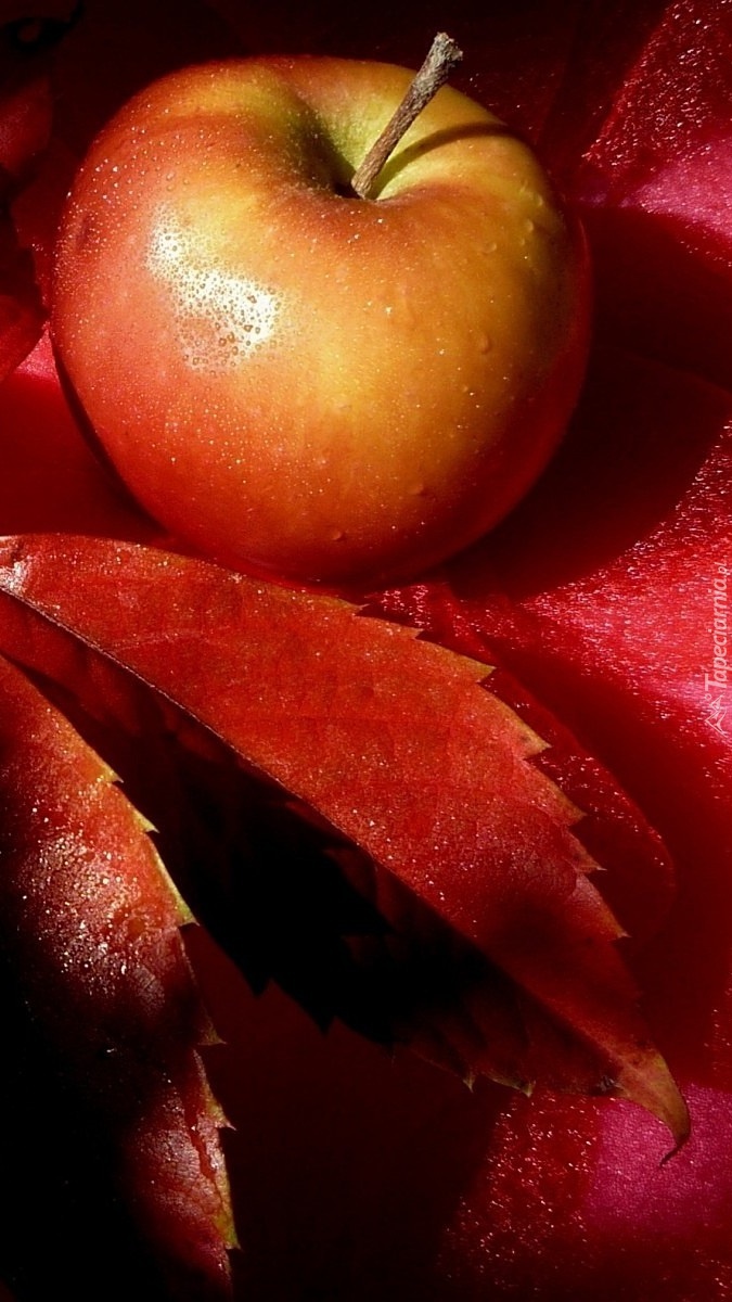 Czerwone jabłuszko