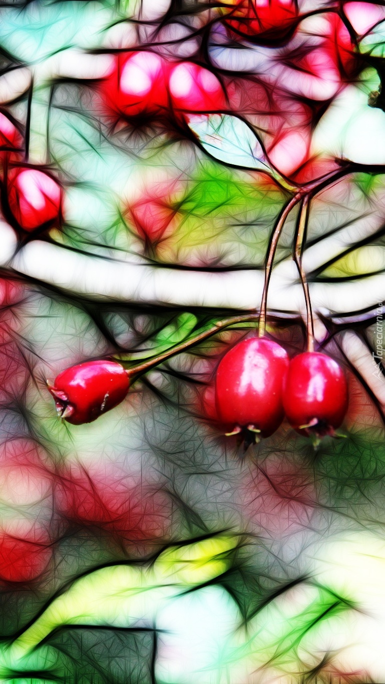 Czerwone jagody w grafice fractalius
