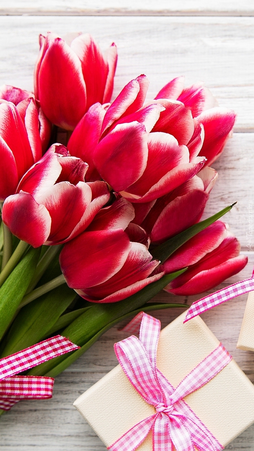 Czerwone tulipany i prezent