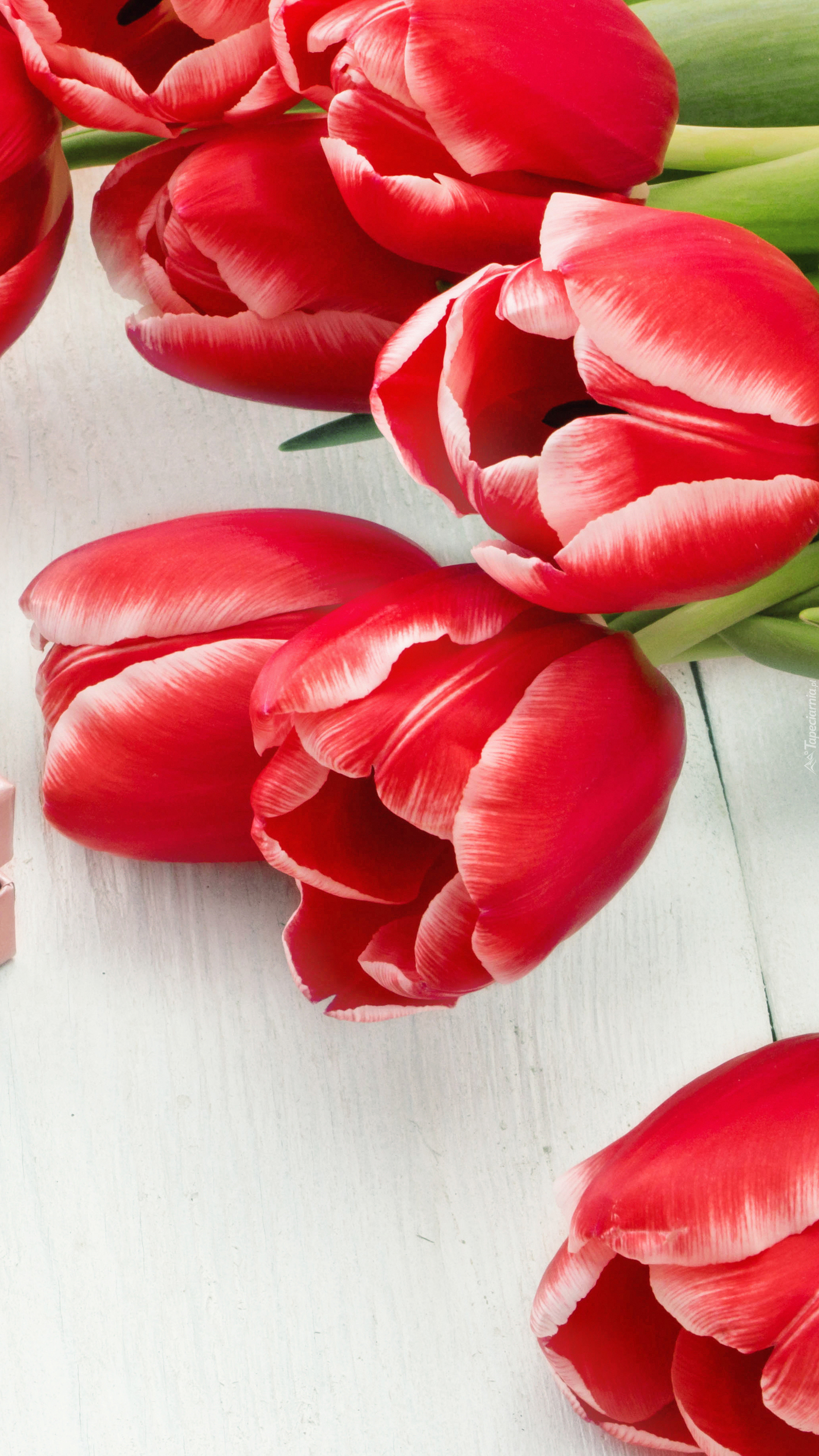 Czerwone tulipany na białych deskach