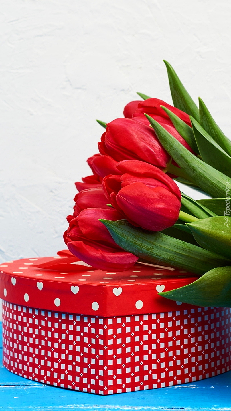 Czerwone tulipany na pudełku