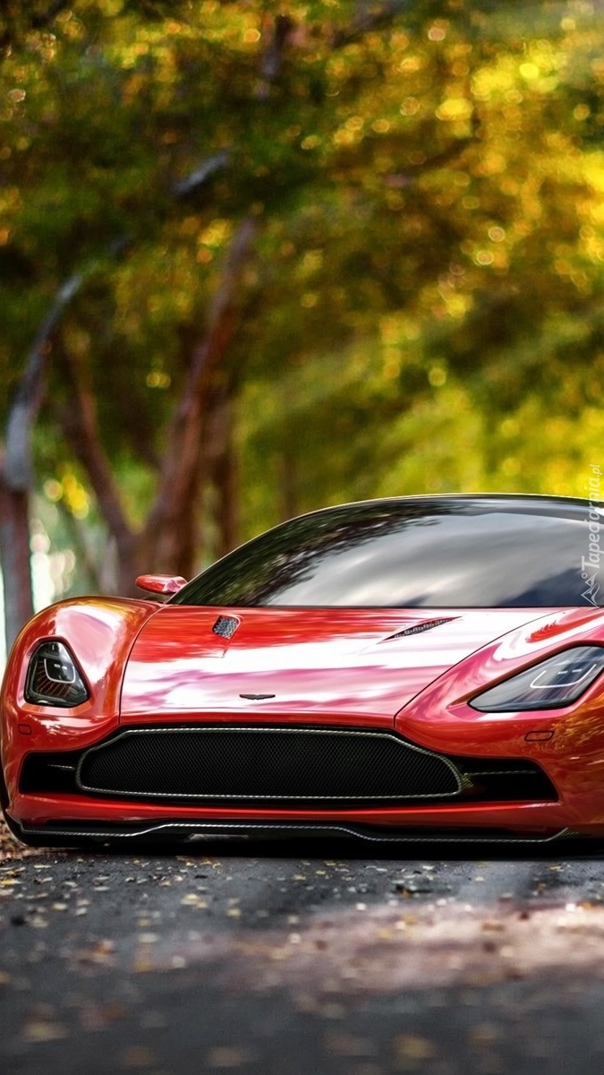 Czerwony Aston Martin DBC