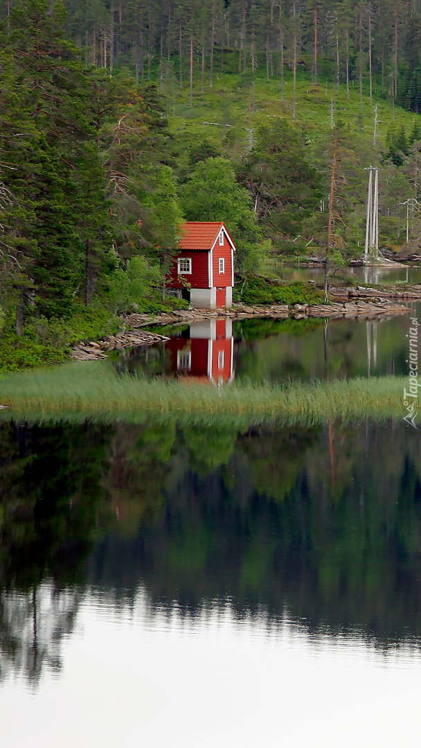 Czerwony domek nad jeziorem