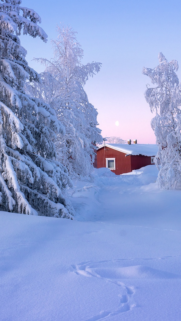 Czerwony domek wśród zaśnieżonych drzew