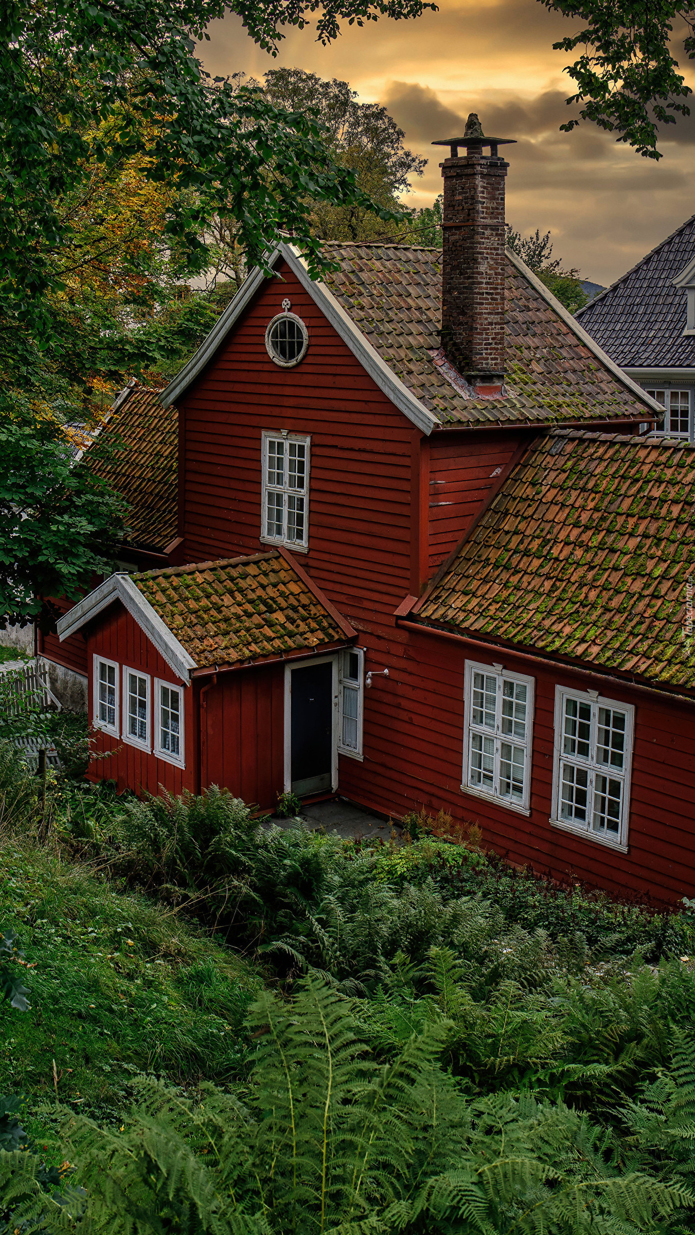Czerwony drewniany dom