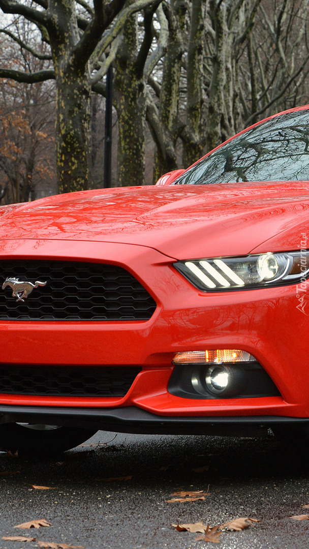 Czerwony Ford Mustang Coupe