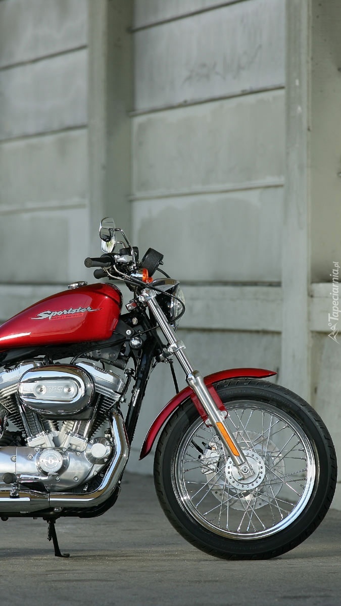 Czerwony Harley Davidson XL883 Sportster