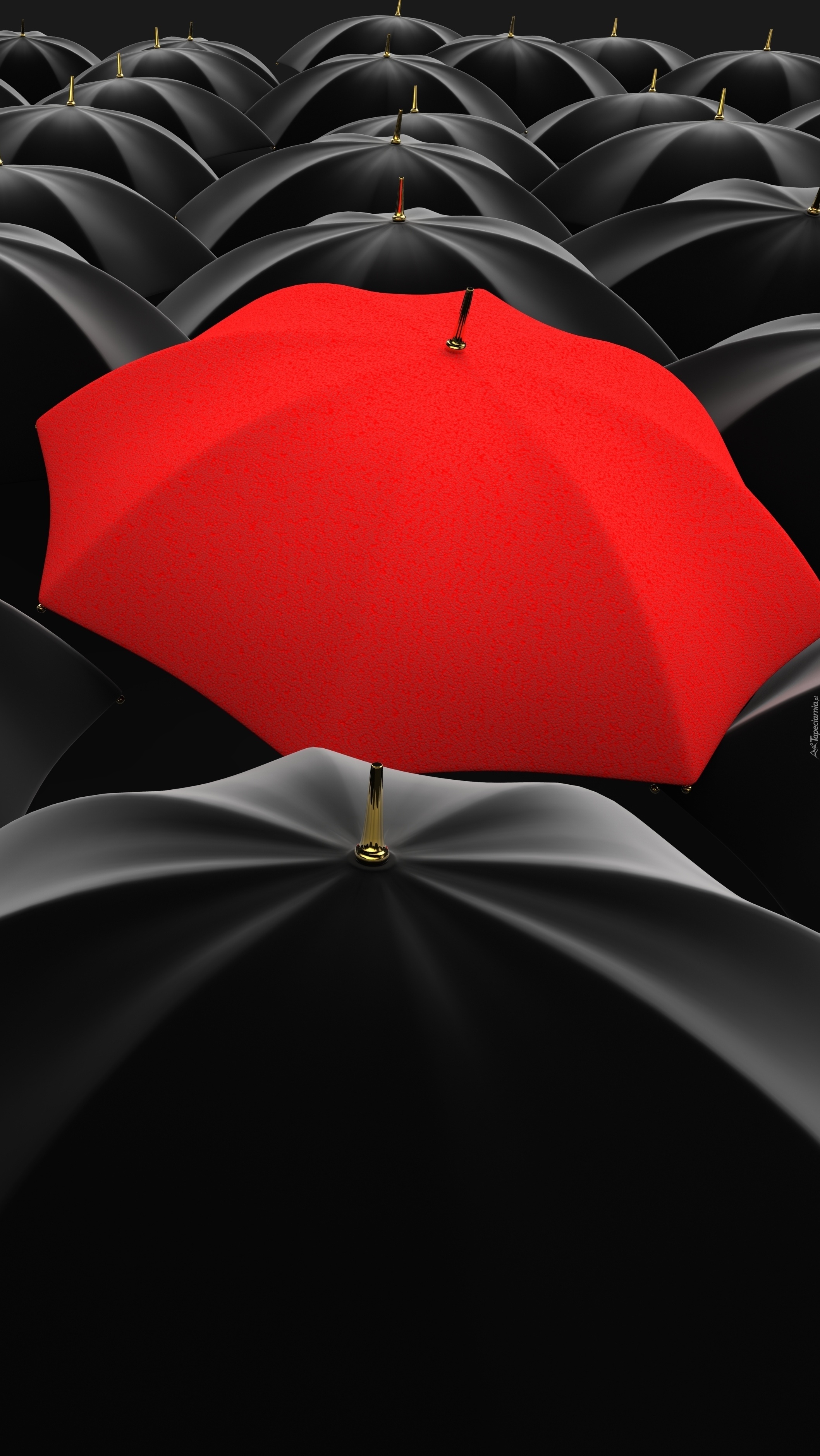 Czerwony wśród czarnych parasoli