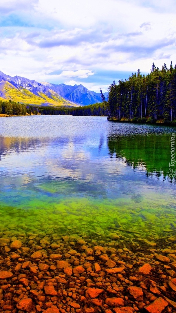 Czyste leśne jezioro w górach