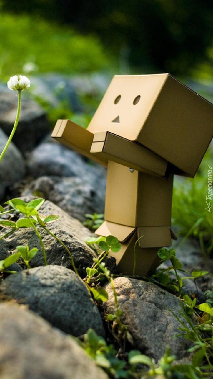 Danbo i mały kwiatek