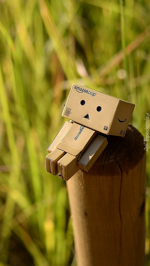 Danbo na kołku