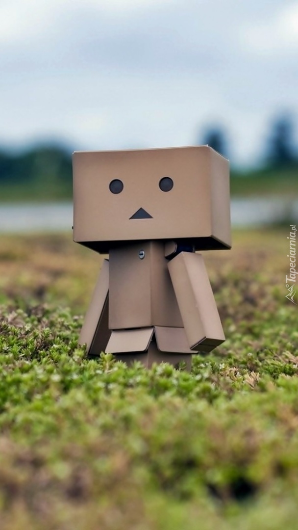 Danbo na łące