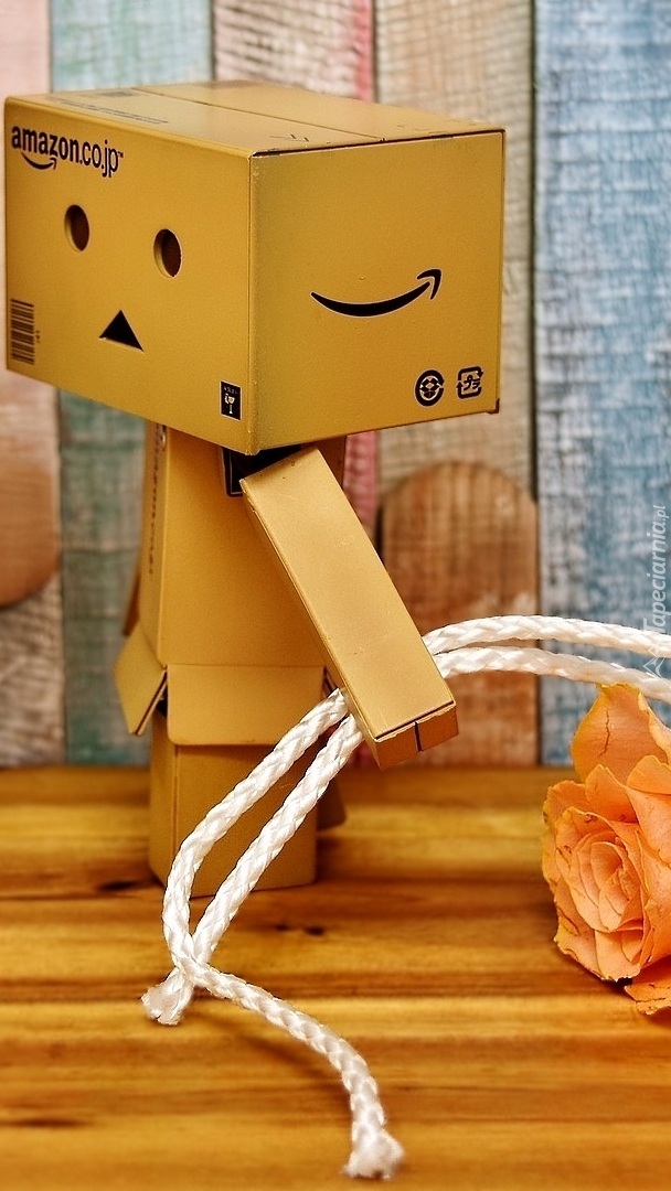 Danbo z różą