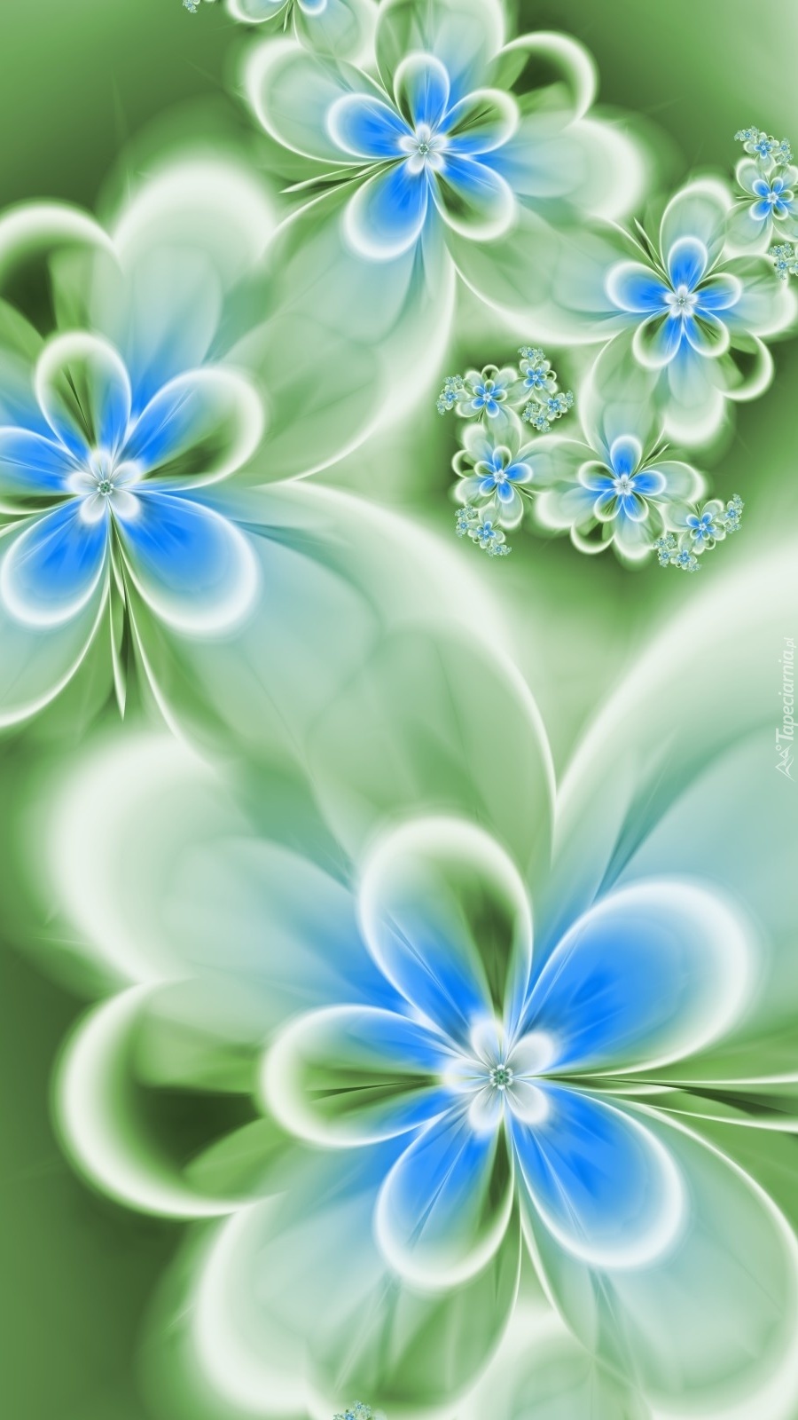 Delikatne bladoniebieskie kwiatuszki
