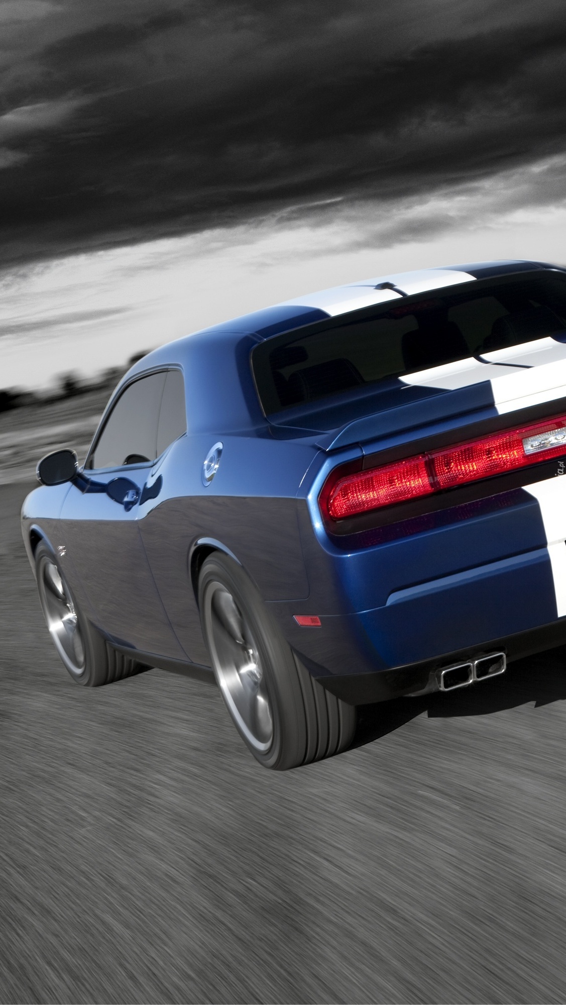 Dodge Challenger na drodze