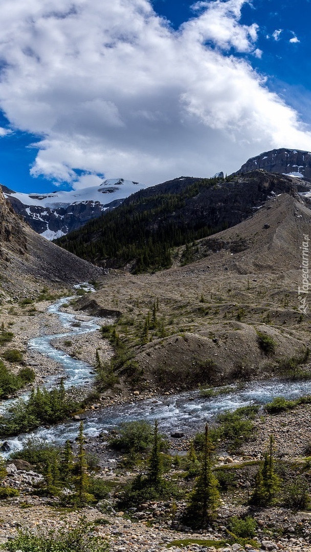 Dolina Bow Glacier Falls Valley