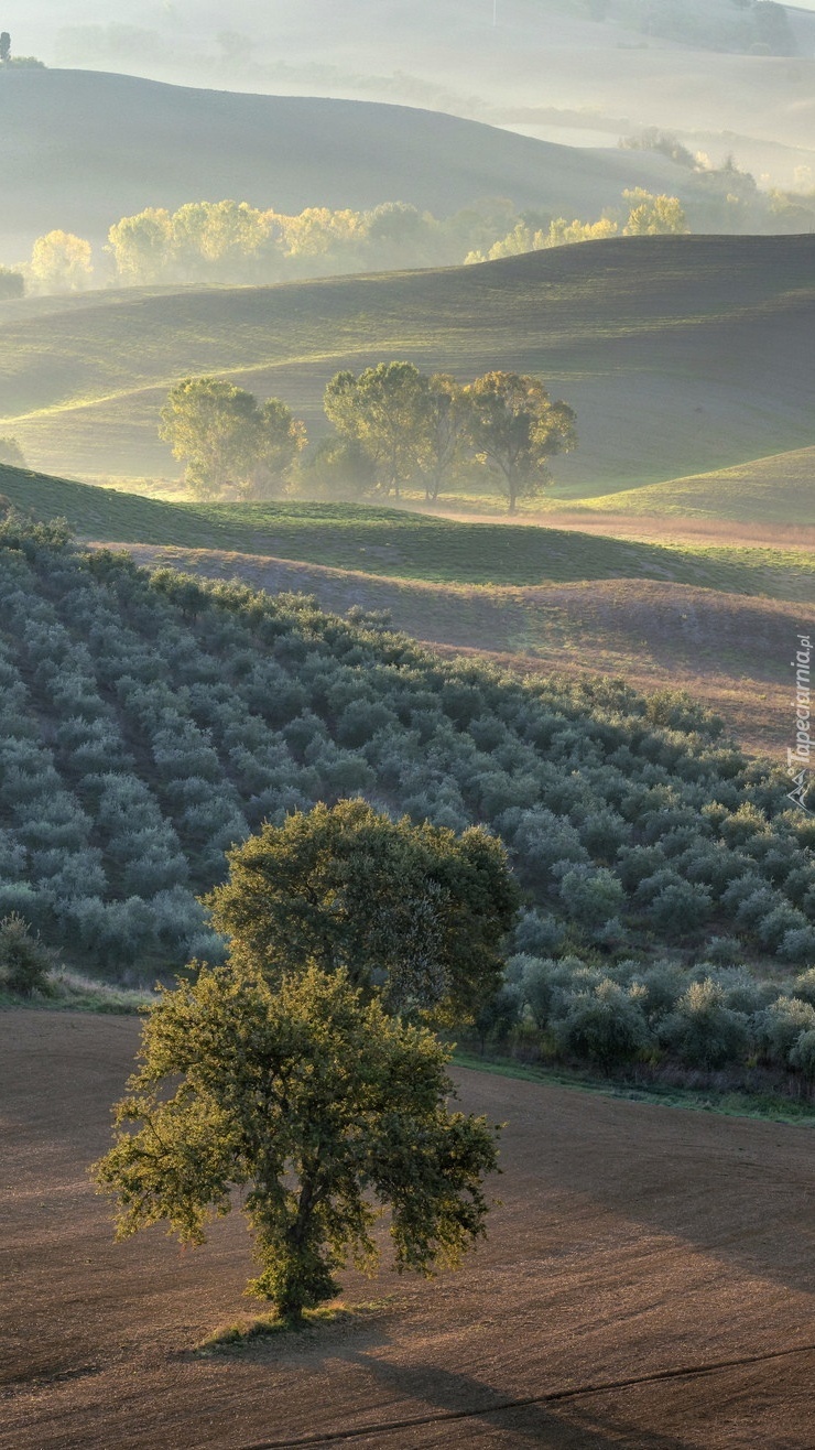 Dolina Val d Orcia w Toskanii