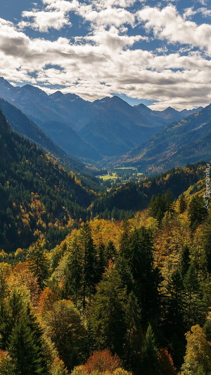 Dolina w Alpach Algawskich