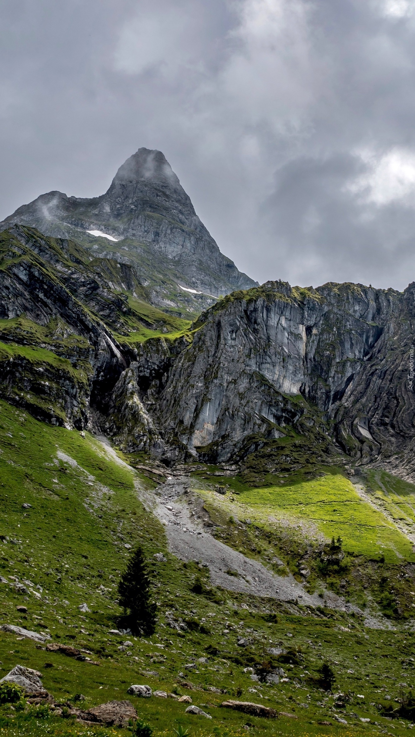 Dolina w Alpach Szwajcarskich