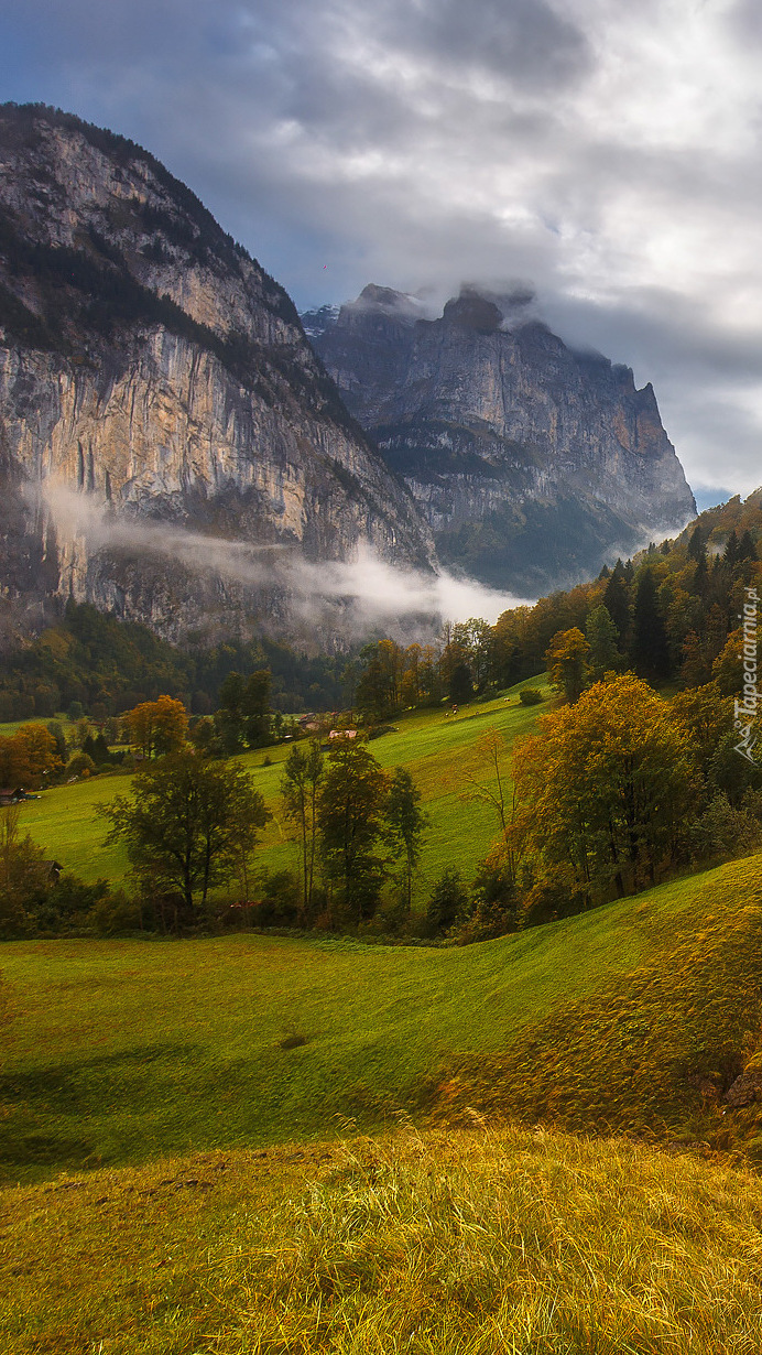 Dolina w Alpach szwajcarskich