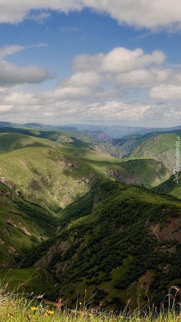 Dolina w górach