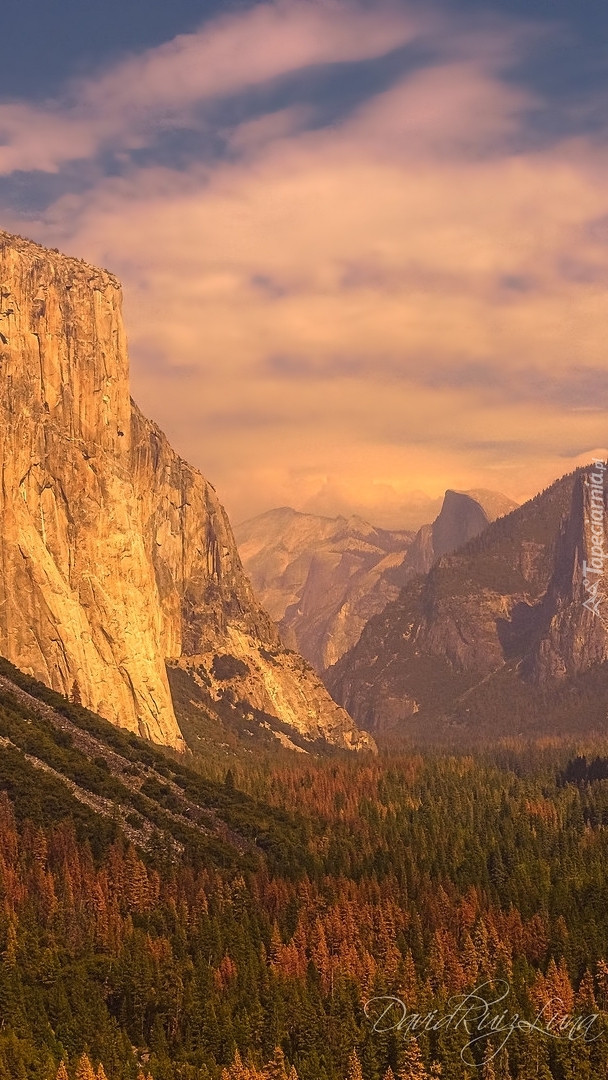 Dolina w Parku Narodowym Yosemite