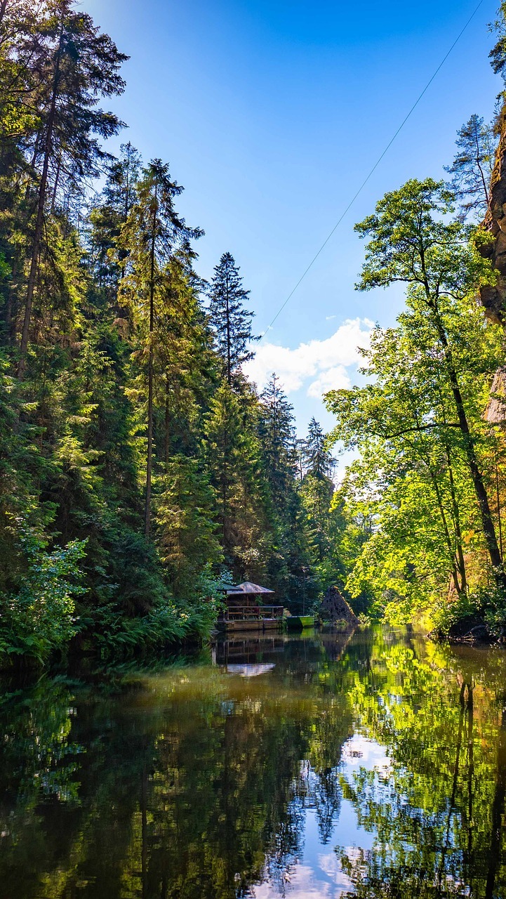 Dom i drzewa nad rzeką