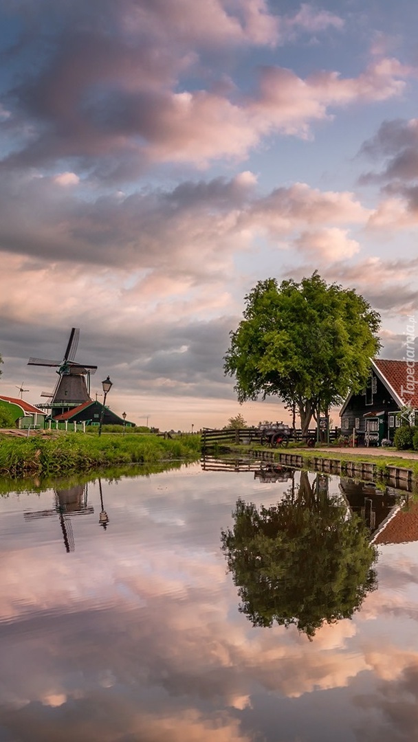 Dom i wiatrak nad kanałem w Zaandam
