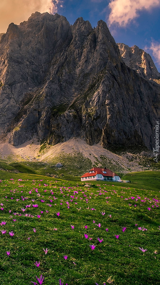 Dom na ukwieconej łące pod masywem Picos de Europa