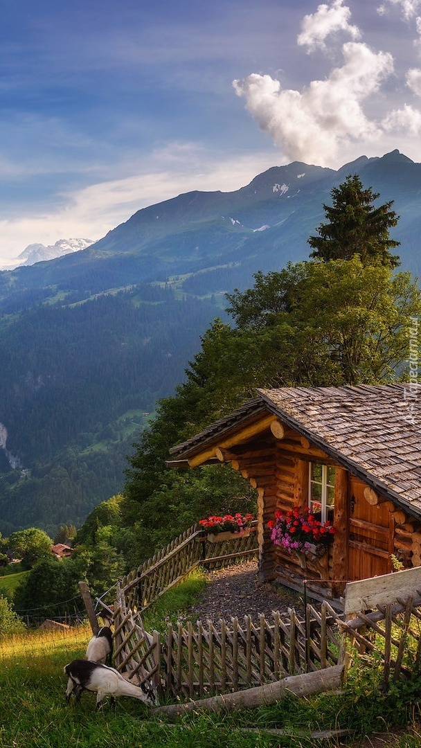 Dom na wzgórzu nad doliną Lauterbrunnental