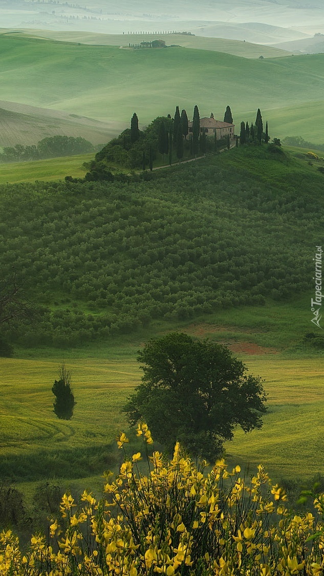 Dom na zielonych wzgórzach Toskanii