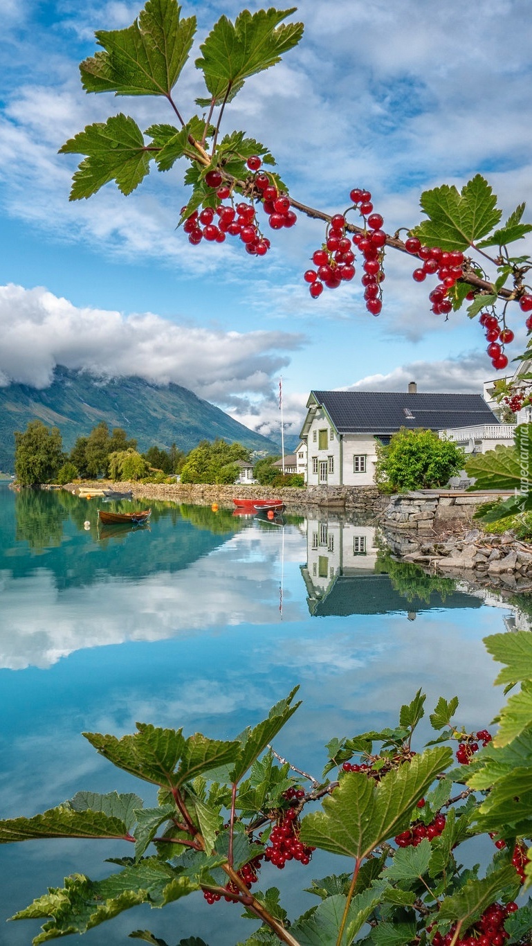 Dom nad jeziorem Oppstrynsvatnet w Norwegii