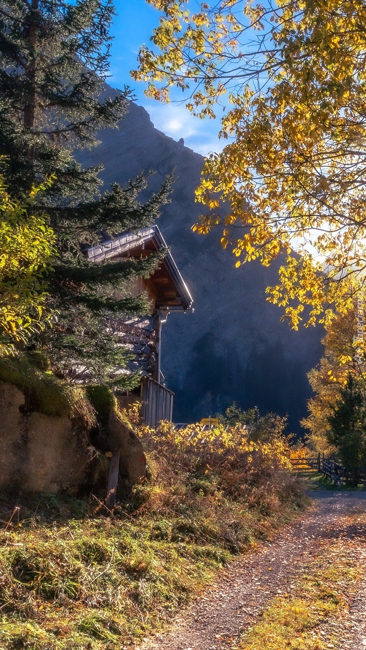 Dom pod drzewami w górach