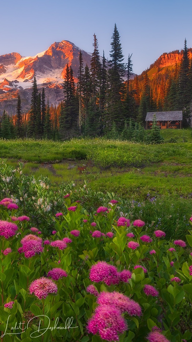 Dom pod drzewami w Parku Narodowym Mount Rainier