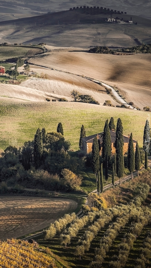 Dom pośród cyprysów na wzgórzach Toskanii