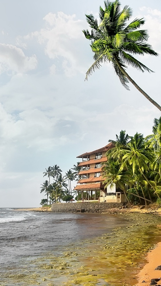 Dom pośród palm nad morzem