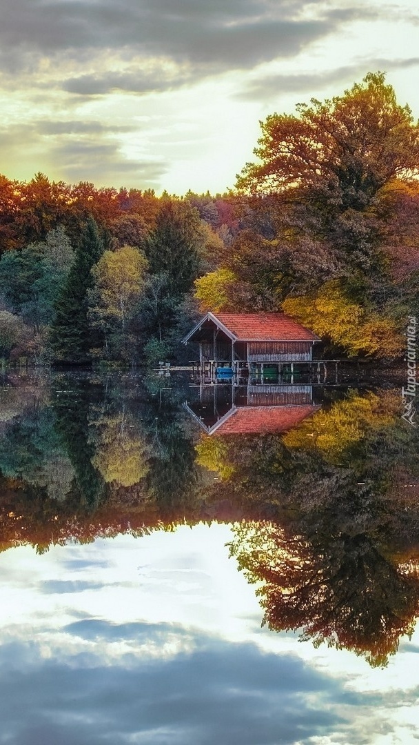 Dom w jesiennym krajobrazie