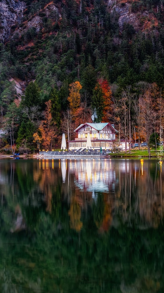 Dom w lesie nad jeziorem