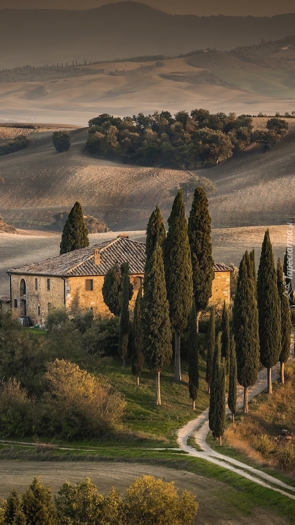 Dom wśród cyprysów w Toskanii