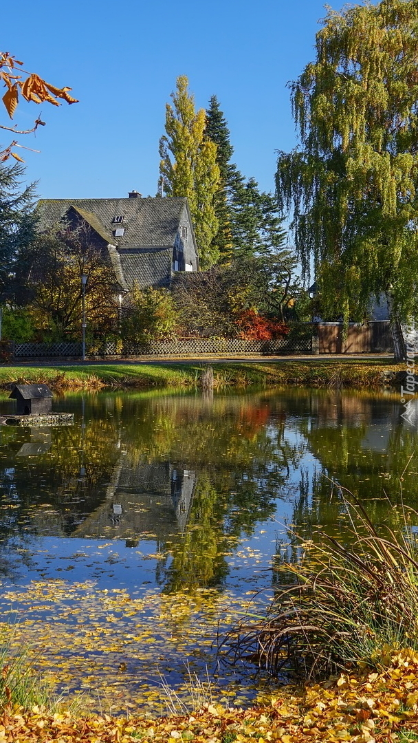 Dom wśród drzew nad stawem