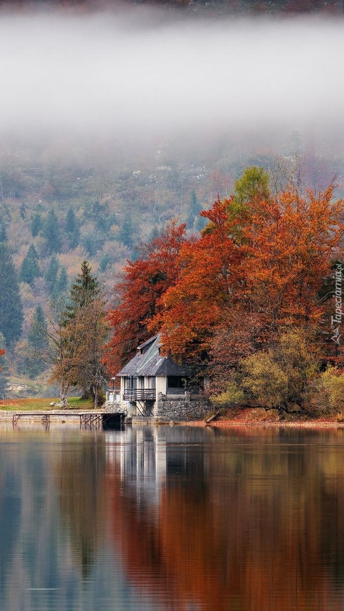Dom wśród jesiennych drzew nad jeziorem