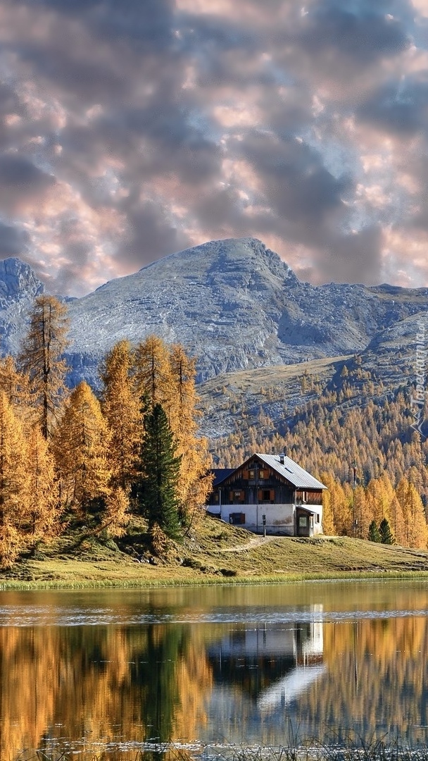 Dom wśród pożółkłych modrzewi nad jeziorem Lago Federa