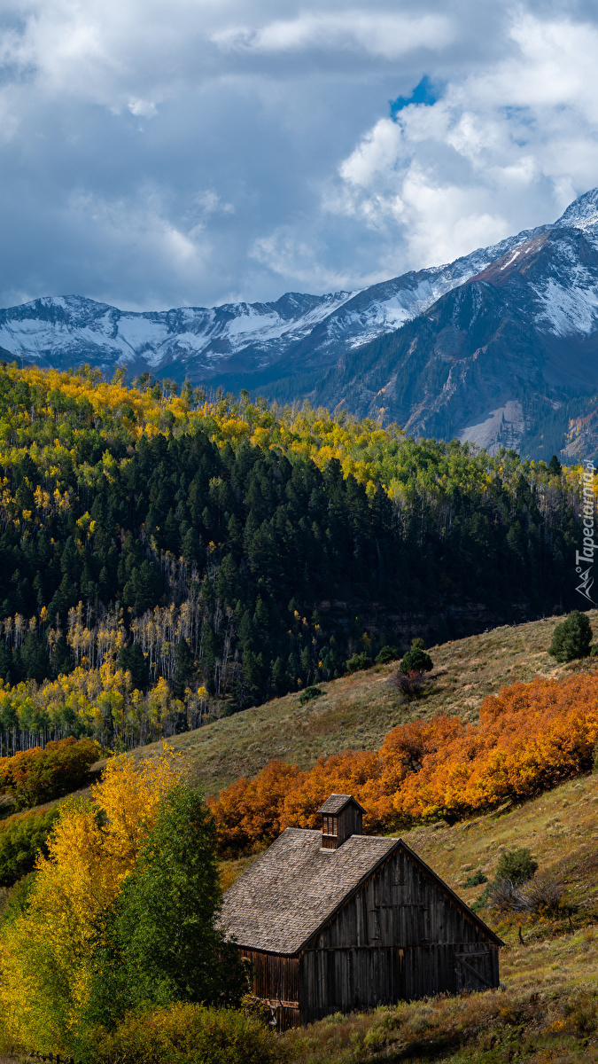 Domek na polanie i góry San Juan Mountains