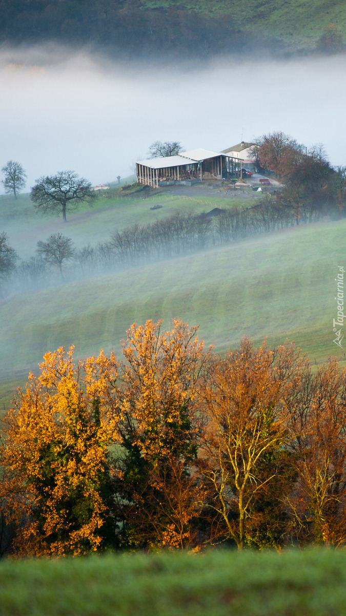 Domek na wzgórzu