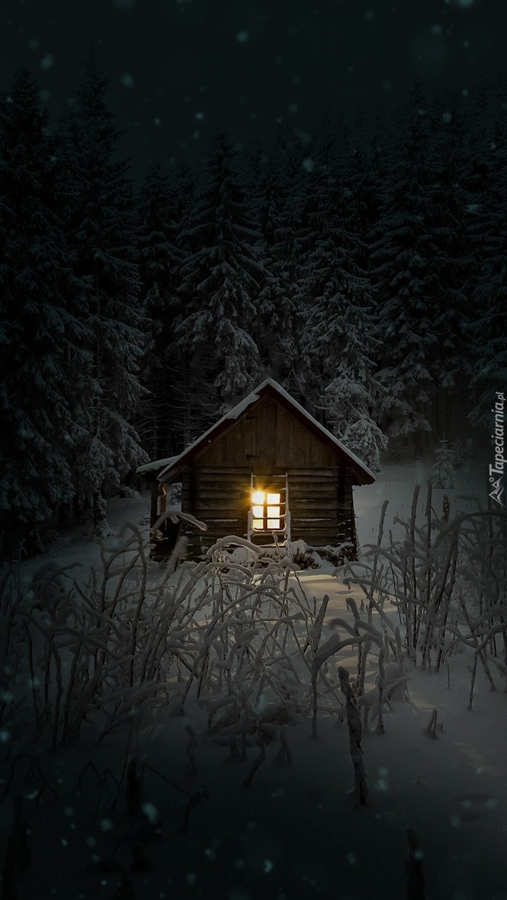 Domek oświetlony zimą w lesie