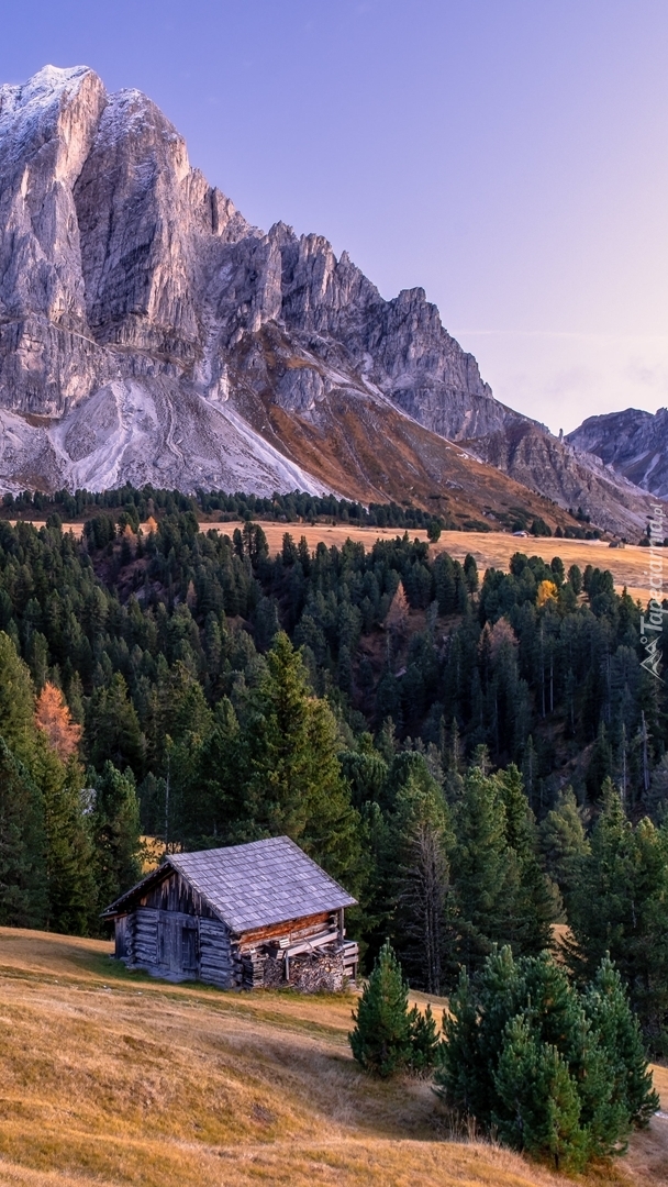 Domek pod lasem w górach