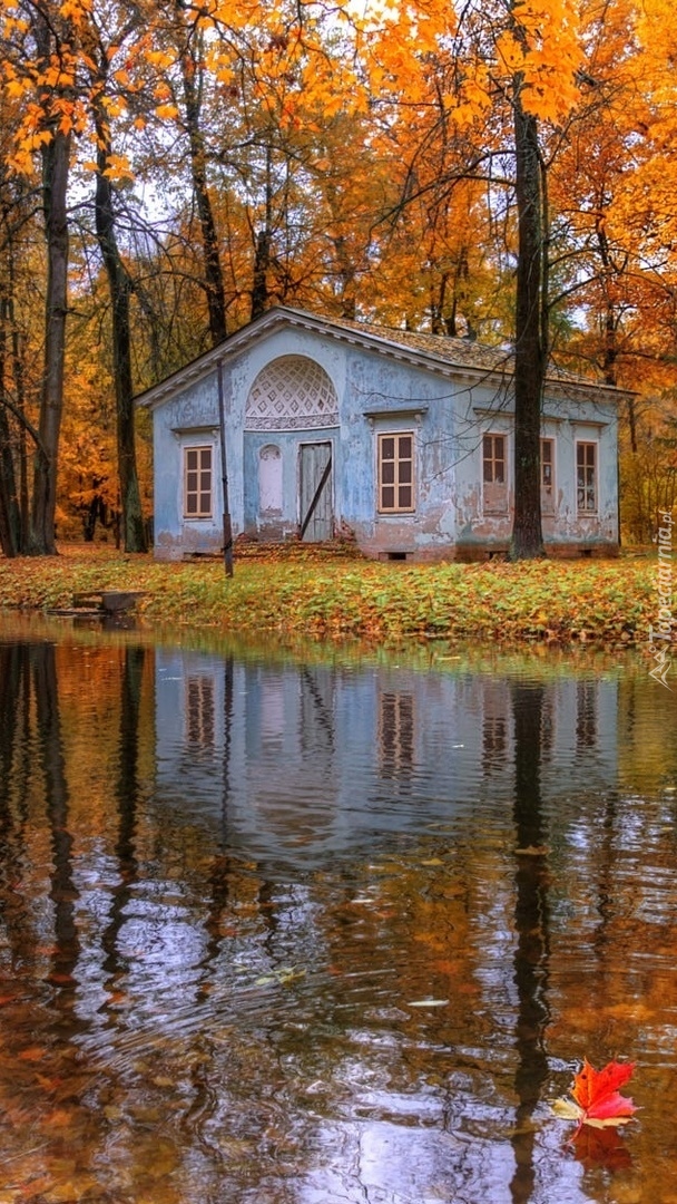 Domek w parku nad stawem jesienią