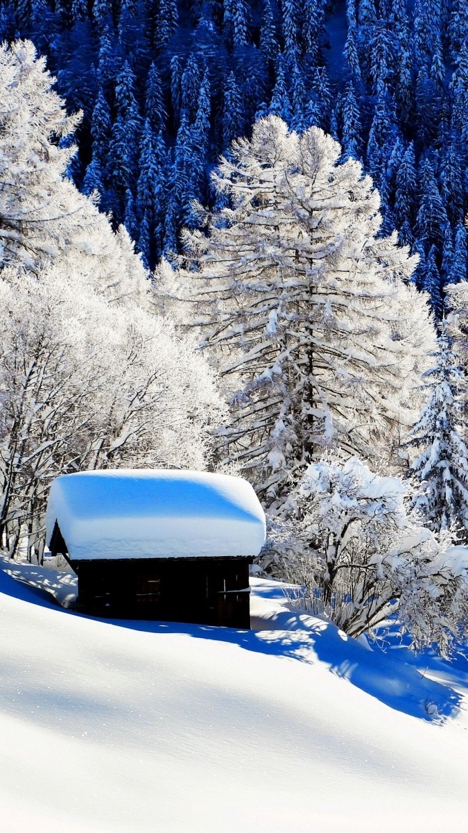 Domek zasypany śniegiem