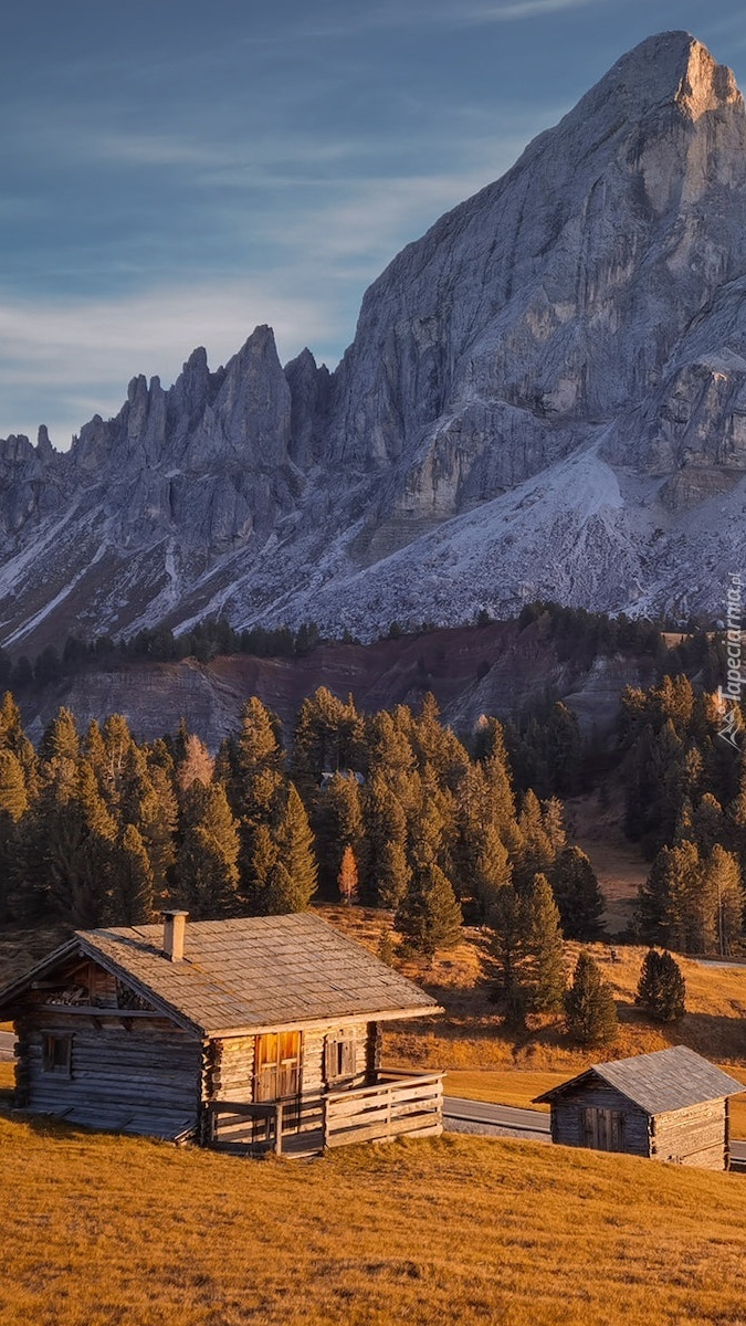 Domki i drzewa na tle Dolomitów