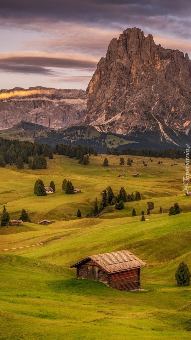 Domki na płaskowyżu Seiser Alm w Dolomitach